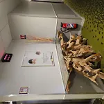 فندق Ibis Styles Sur Lot